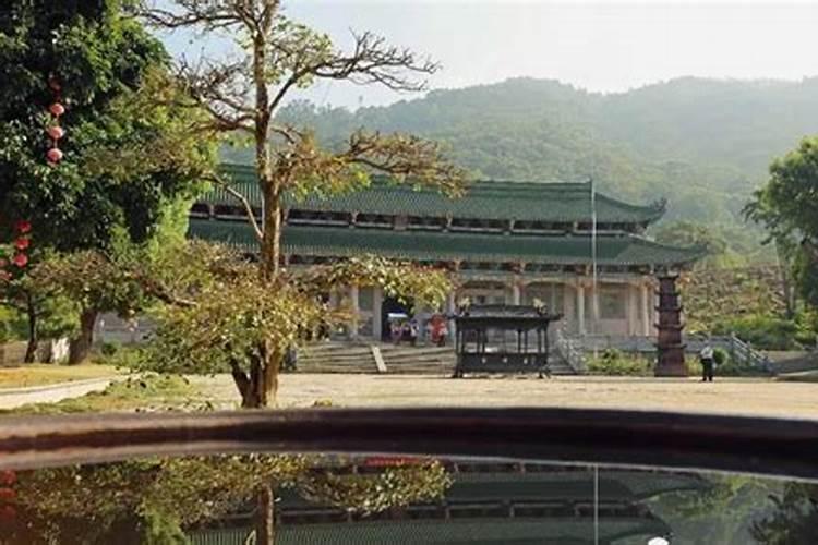 高州旅游高州旅游攻略一日游