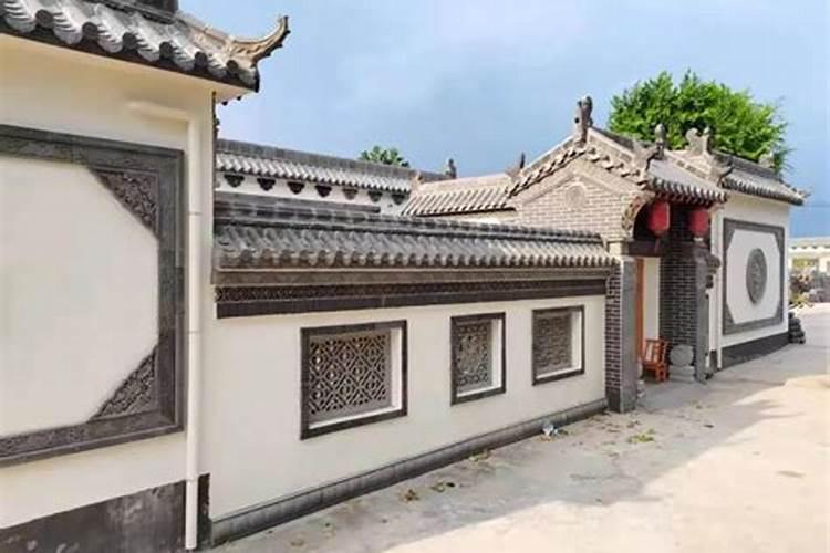 6种大红色的花卉,适合过年摆在家里,红红火火的花朵喜气洋洋