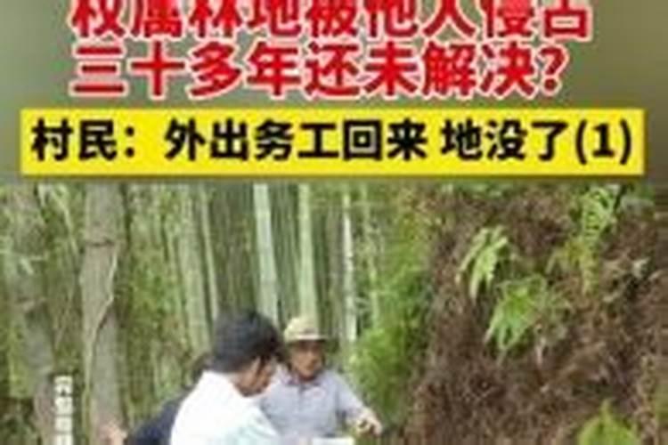 强占他人土地构成什么罪