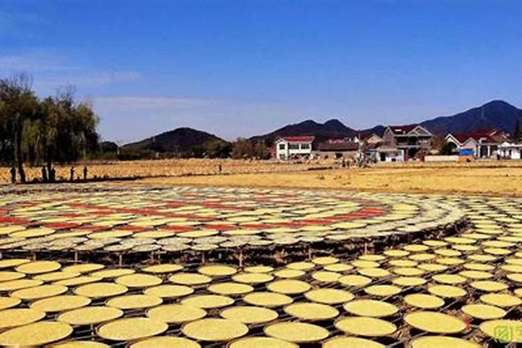 大阳泉村简介