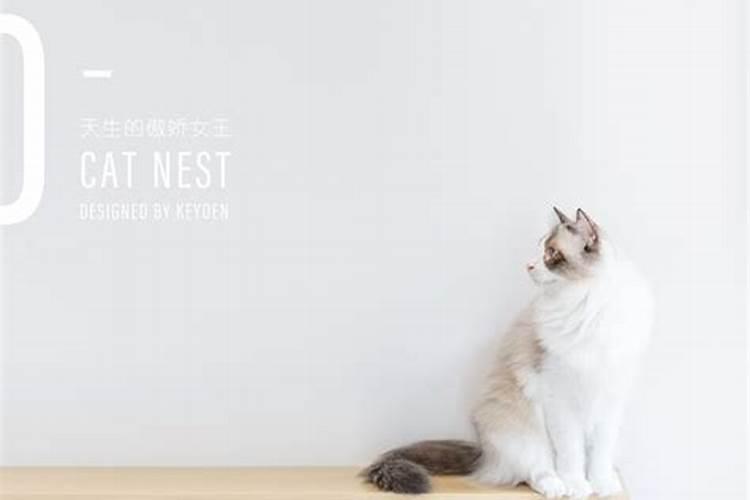 钢铁是怎样炼成的读书笔记(分段)