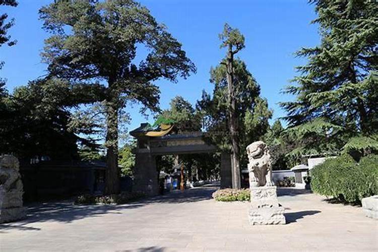 墓地风水最好的方位