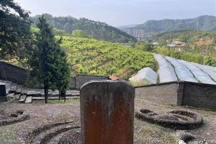 哪些学校开设风水学