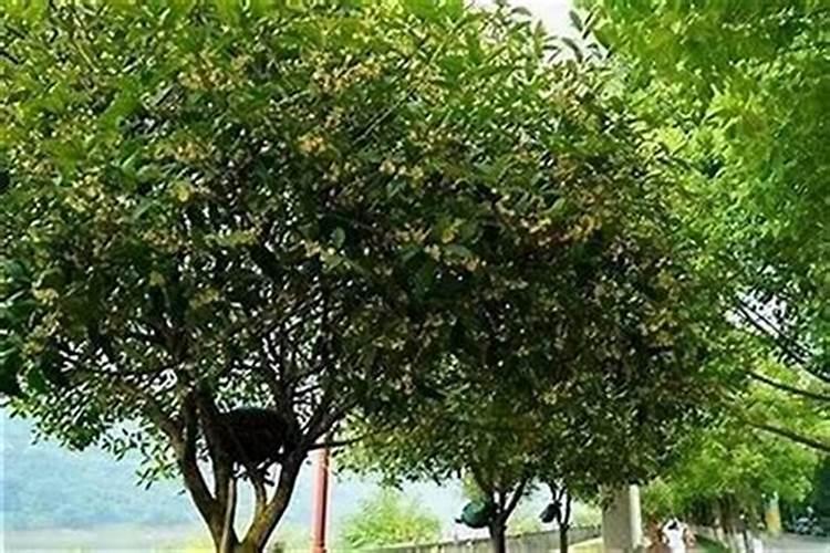 什么是下跃式户型