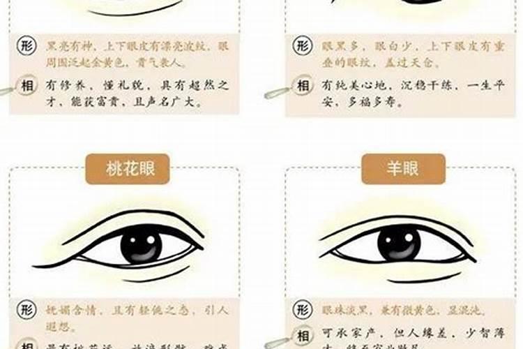 从面相看小眼睛的人财运如何