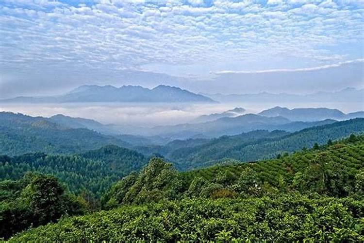八宅风水中提到的大门朝向,判断时是指由外向内看还是由内向外看
