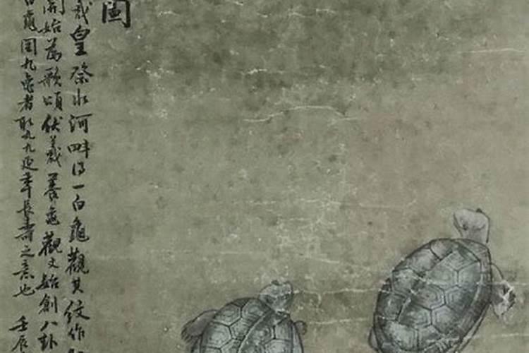 请问一下:九龟是佛用品还是道家的
