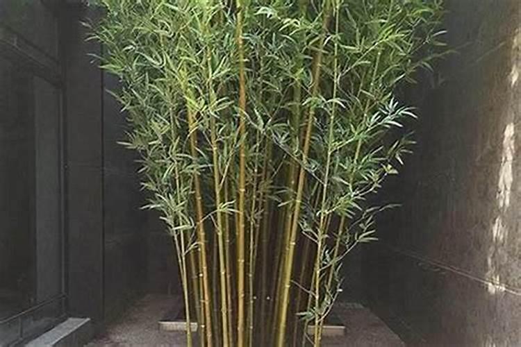 西安八仙宫算卦最准？