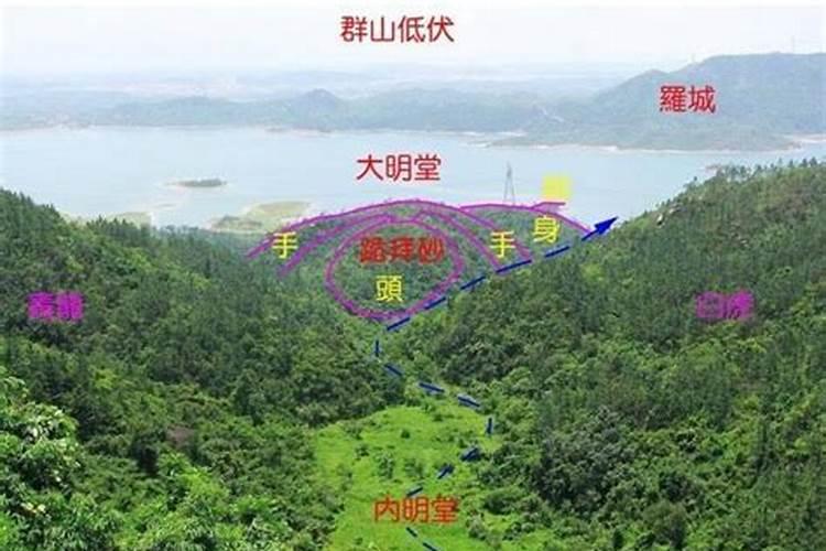 阴宅风水中的金盆养鱼局是怎么样的？