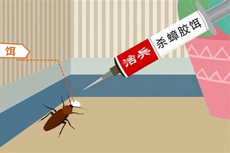蟑螂会靠近熟睡的人吗家里出现蟑螂风水预示灭蟑螂彻底的方法百度知 ...