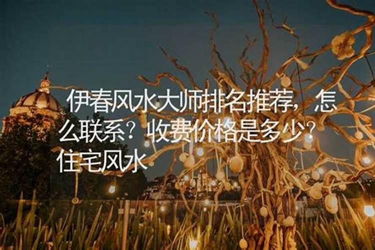 中国易经大师排名30位内