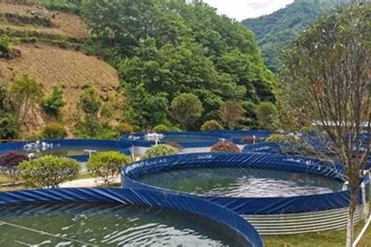 世界著名风水大师是谁？世界著名风水大师介绍