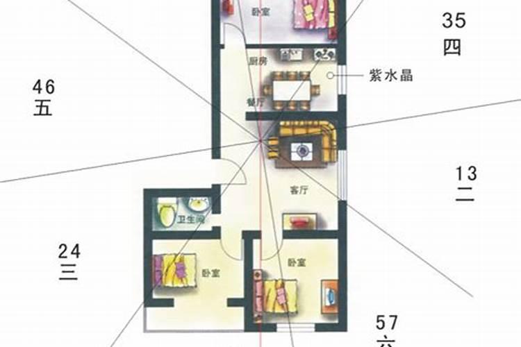 泊头起名哪里最专业？