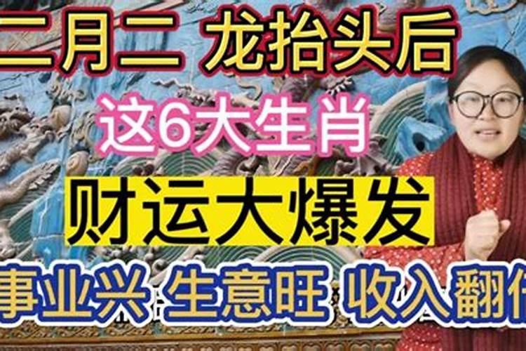 狗名怎么取比较旺主人,狗起名招财风水好的名字