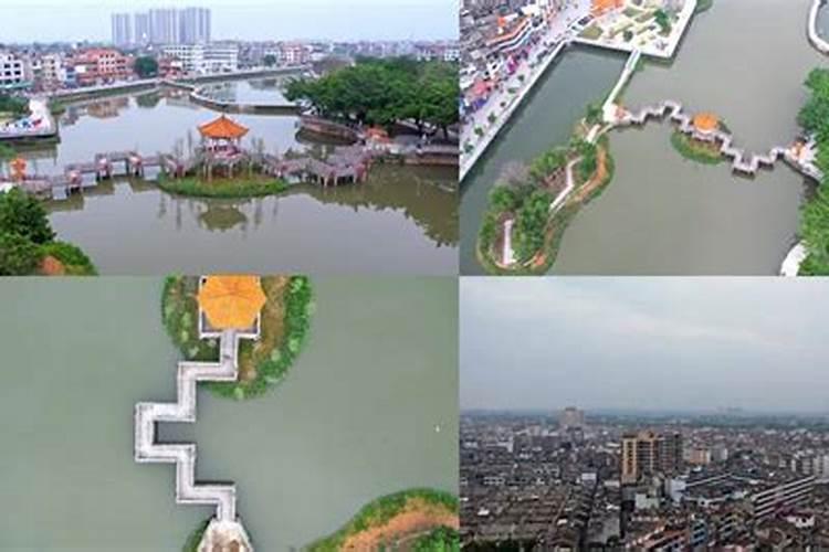 杨卓成风水大师——杨卓成