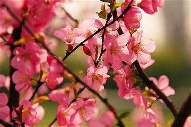 家里安的门风水师说是二夫挣婚什么意思？