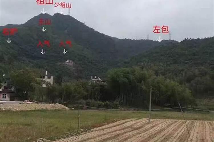 卧室放什么风水好