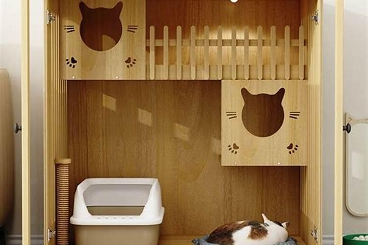 养猫的风水讲究