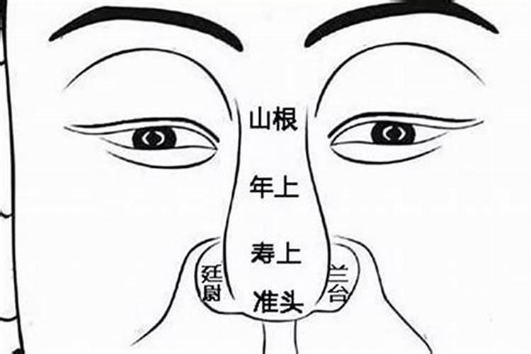 家庭哪个方位代表鼻子？