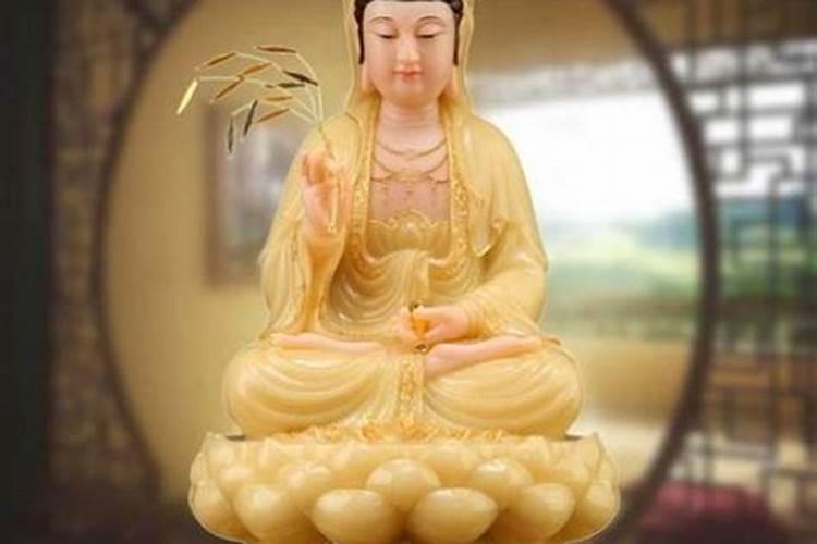 滴水观音的风水学特点,招财进宝、吉祥如意