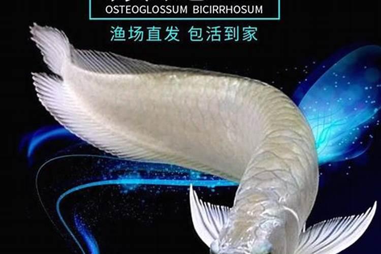 如何用罗盘看财位