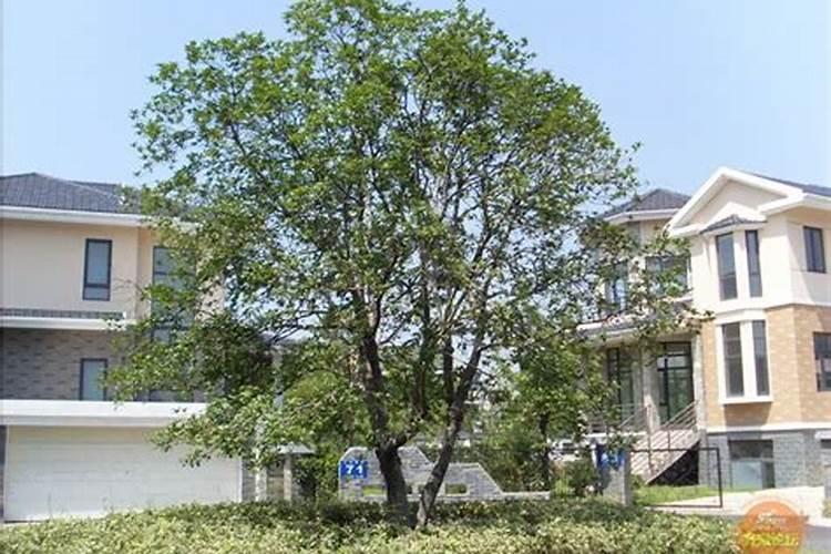 安置房楼底门市可做冻库吗？