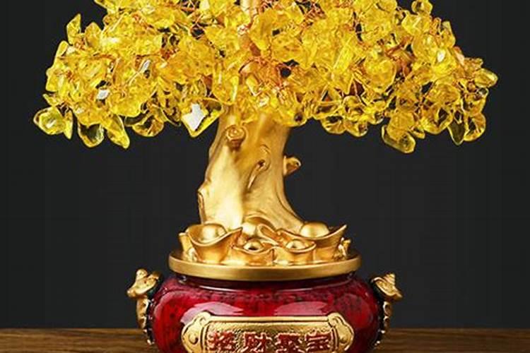招财树能在庭院种植吗 怎么摆放最合理