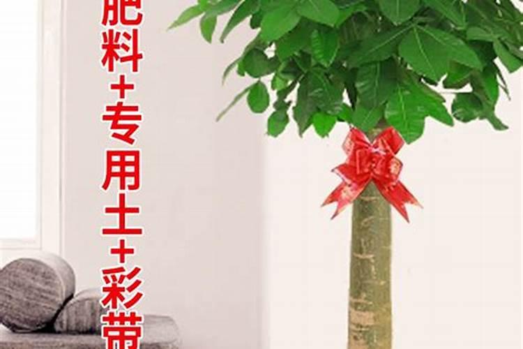 如何破风水阴阳