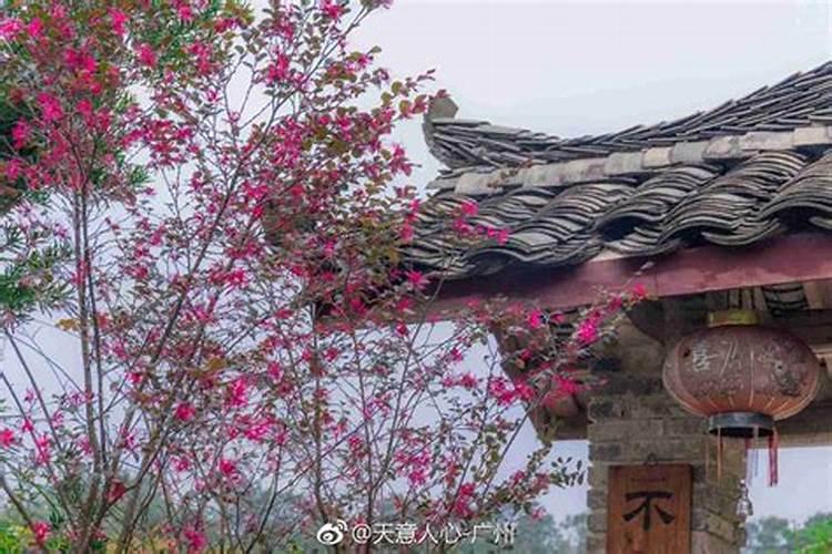 民间故事:风水宝地