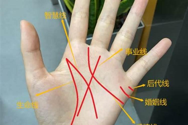 女人看手相看哪个手相,女人3大苦命手相