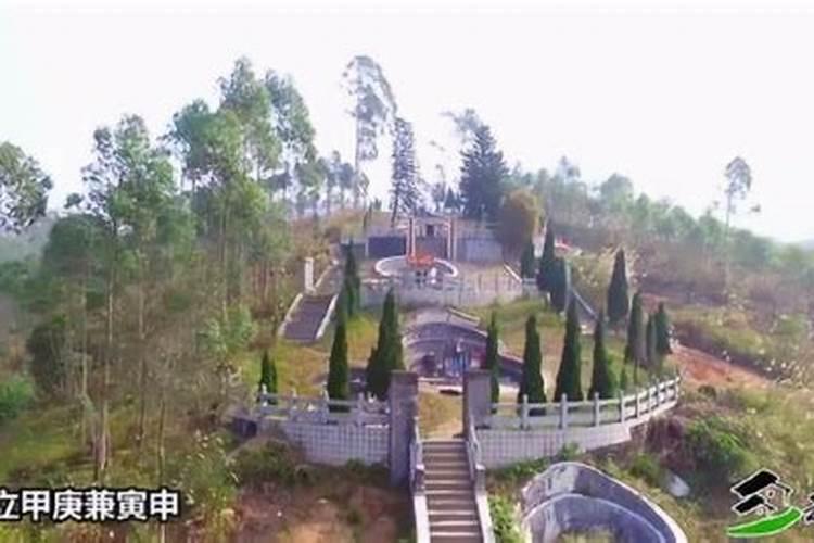 天呐,原来家居花木必须这样种,否则会犯大忌。