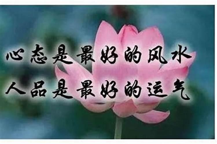 和风水大师交谈都说些什么