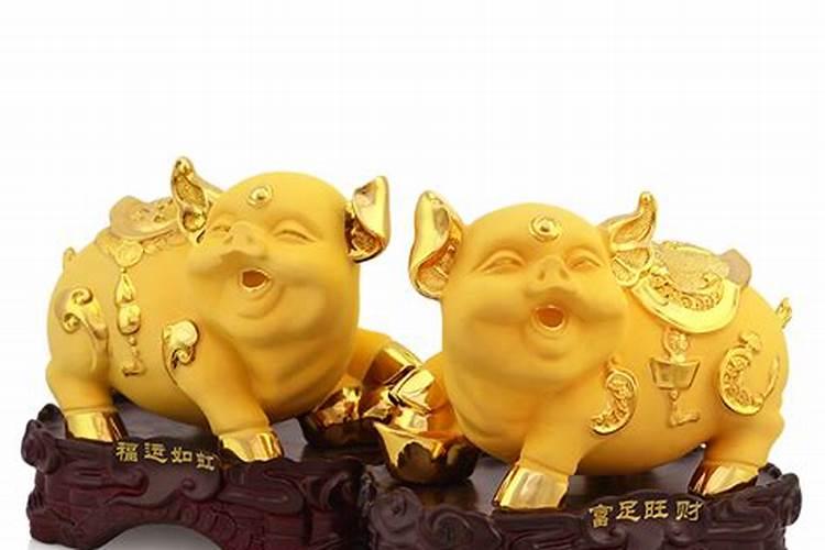 金猪放哪里