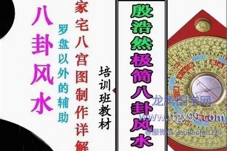 殷浩然个人简介