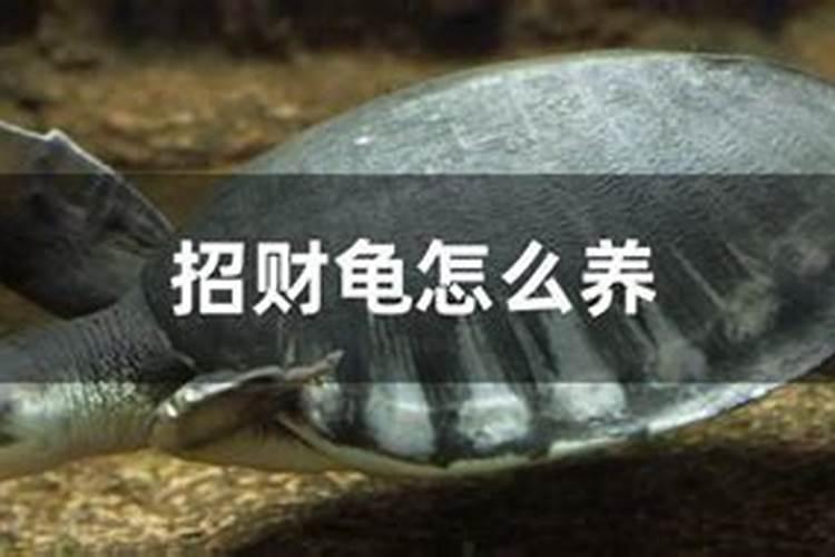 农历初15为什么不能看望人？