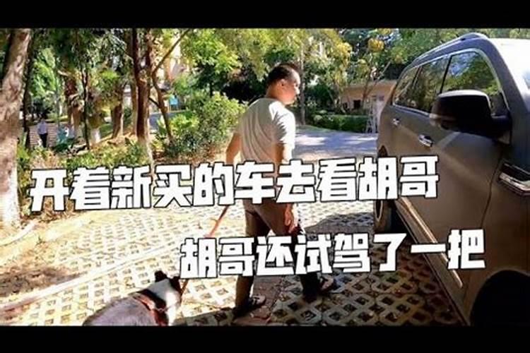 切财运是什么意思？