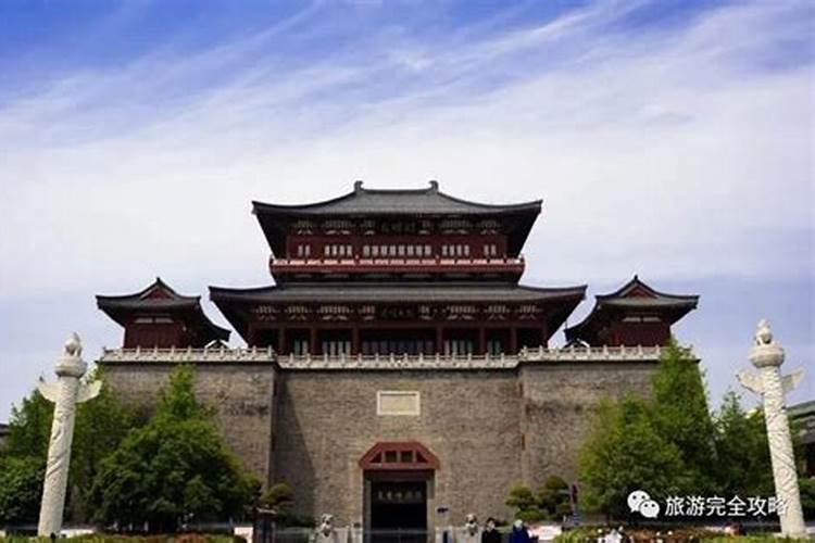 家里摆什么花最旺风水