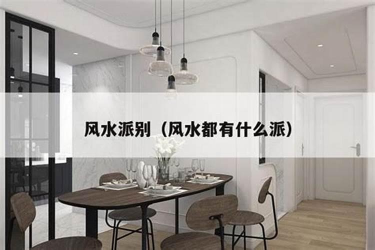 健康养生节目有哪些