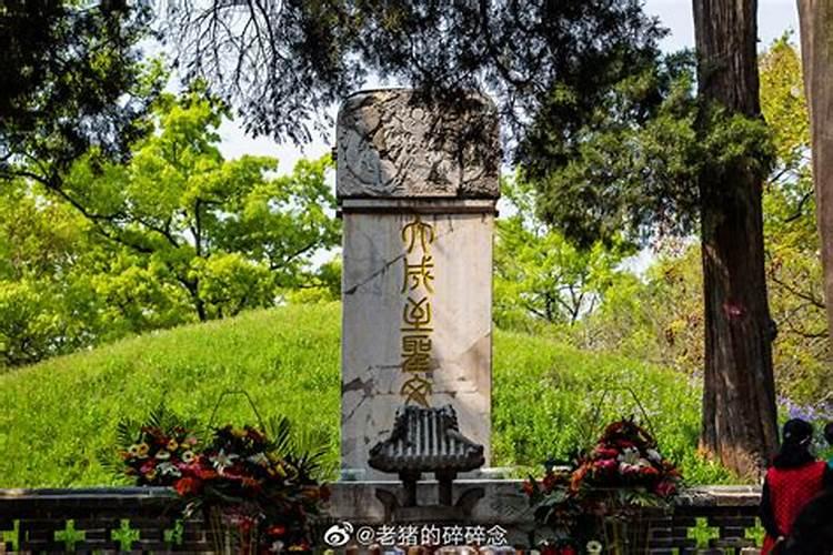 孔子墓布局为何并命名为“携子抱孙”？