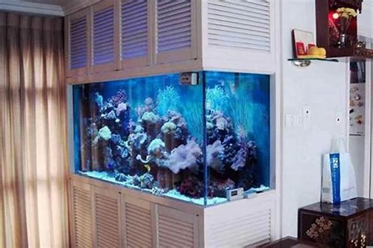 办公室养鱼的风水有什么讲究