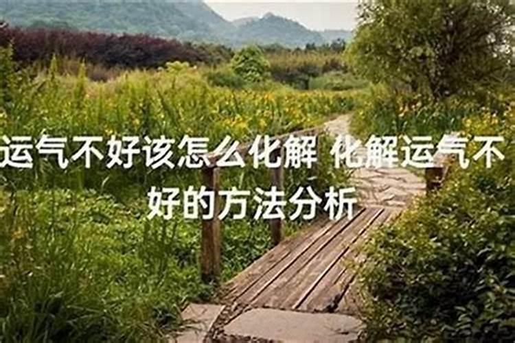 新生代盖亚2024会上映吗