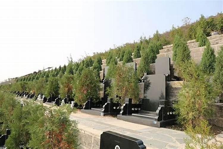 买公墓是越上面越好吗