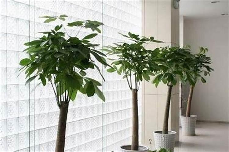 房屋建筑面积包括院子吗