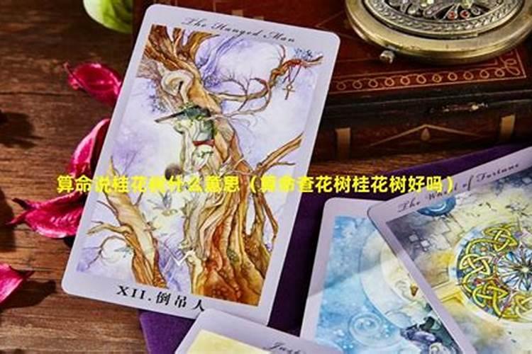 这是什么中药