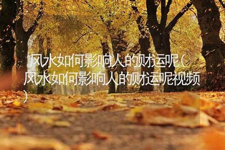 财运不好如何用风水转运
