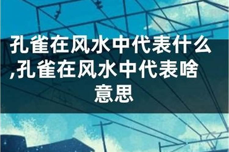 鸟飞来院子有什么征兆,具体哪些含义
