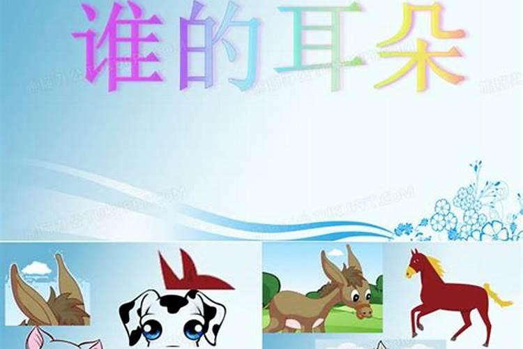 耳朵长这样竟然最有福气
