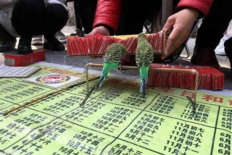 我想找人看看财运事业,山东附近能推荐一下吗