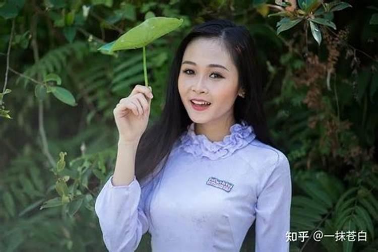 少年风水师知乎评论,少年风水师简介书评