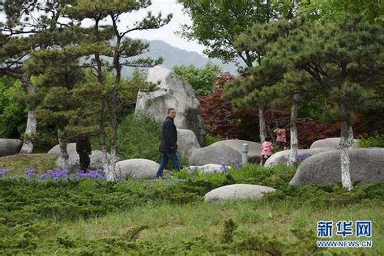 请求风水大师帮看下这房子设计图的风水格局,屋向是坐北朝南的
